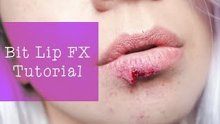 Bit Lip FX Tutorial (basic)