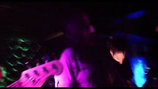 Reptilia - Venice