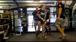 bee vs chloe immortal mma
