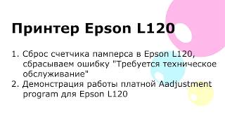 Сброс памперса. Epson L120 Adjustment program