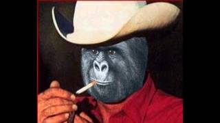 Anonymous Guitar Guy - Gorilla Warfare