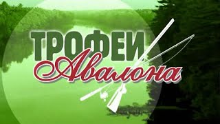 Зимняя рыбалка на нижней волге