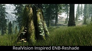 SKYRIM SE ENB - Nyclix's RealVision Inspired ENB-Reshade