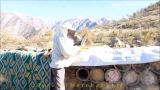 Пчеловодство в Турции. Необычные ульи Beekeeping in the Turkey