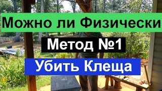 Пасека #44 Можно ли  физически  убить клеща ? Пасека - Почему погибает клещ ? Пасека Пчеловодство.