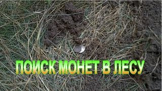 КОП В ЛЕСУ ВСТРЕЧА С ХИЩНИКОМ