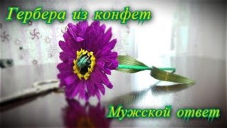 Гербера из конфеты и гофробумаги Мужской ответ