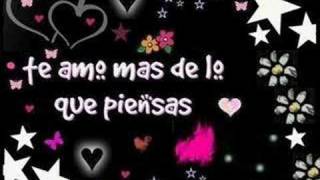 fanny t amo