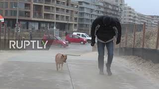 The Hague harbour partially flooded as Storm Corrie batters city with over 100km/h winds