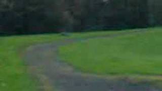 TRAXXAS T MAX