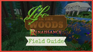 Backpacks! - Phedran's Field Guide - Life in the Woods Renaissance