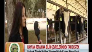 Hayvan Refahı Standartları Yeniden Belirledi 25.01.2012