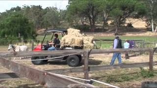 Kioti UTV Mechron 2200