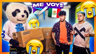Panda se va y no podemos impedirlo...