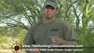 Coyote Hunting set ups Part 1 By John Stallone