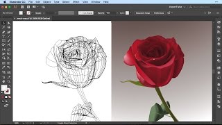 Gradient Mesh Tool: Create a Realistic Rose in Illustrator CC ( SPEEDART)