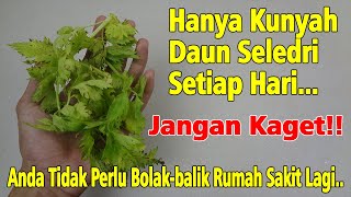 BIKIN GEGER...!!! CARA TRADISIONAL INI BISA MEMBUATMU SEHAT SELAMANYA