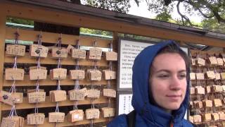 ИСПОЛНЕНИЕ ЖЕЛАНИЙ в храме Мэйдзи в Токио Японии / Ema Meiji Jingu 明治神宮 Shrine Tokyo Japan
