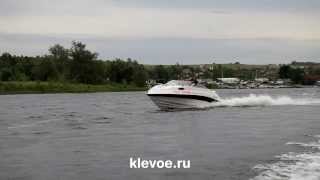 Катер COBRA 2050 Elegance IB