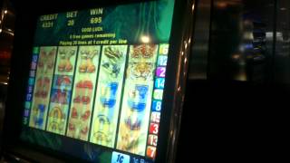 Macaw magic slot machine bonus