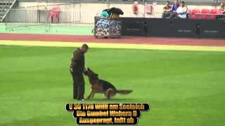 2011 SV BSZS Nürnberg TSB parte 3 Ruden V21-V40 (11 de20) HD (Ovejeristas.com.ar)