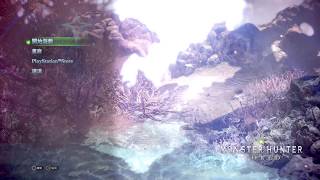 kivi 2018/0131 MHW day6