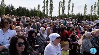 Шли солдаты на войну. Высота Огурец. Мы вместе празднуем Победу! 9 мая 2019