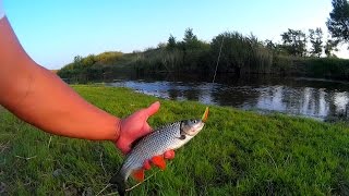 UL Fishing