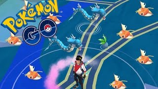 DOUBLE GYARADOS 800X MAGIKARP CANDY | Pokemon Go | THE MOST CRAZY EVOLUTION EVER!