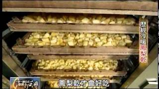 20110116 TVBS 一步一腳印 發現新台灣 - 歷經冷暖鳳梨乾