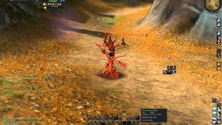 Aion gladiator pvp