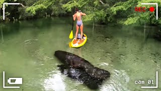 НЕВЕРОЯТНЫЕ МОМЕНТЫ, СНЯТЫЕ НА КАМЕРУ