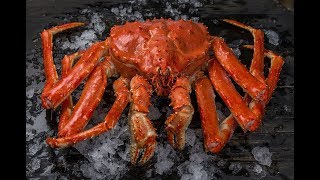 Послевкусие: в 2019 году северянам разрешать ловить краба в Баренцевом море