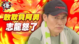 《多情大爆爆》多情城市 EP215 敢欺負阿勇 志龍怒了