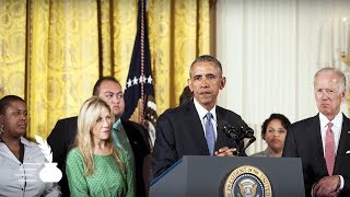 Executive Power & Gun Control