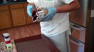 Softball Glove Break in Process Novak Athletics Big Show Kip