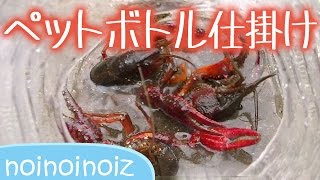 ペットボトル仕掛けで【ザリガニ】獲る実験（制作～回収） Bottle Trap For Insects crayfish