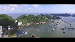 Du lịch Cát Bà - Khám phá đảo khỉ