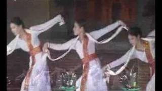 Dan hoa thap co