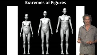 Size Matters: How penis size influences a man's sex appeal