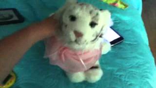 Smosh has webkinz!!!!