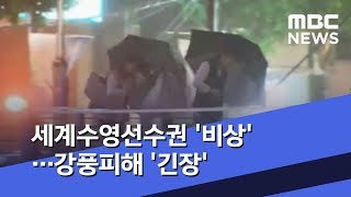 세계수영선수권 '비상'…강풍피해 '긴장' (2019.07.20/뉴스투데이/MBC)