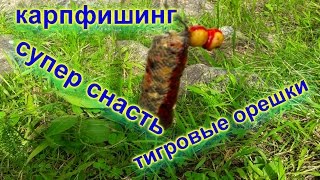 Карпфишинг Сбалансированные тигровые орешки *подводная съемка*