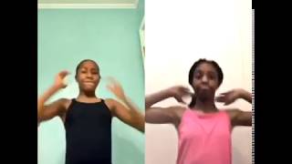 TIK TOK                   Renegade Dance refers to a viral TikTok dance