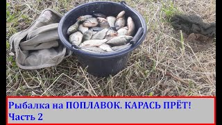 Рыбалка на ПОПЛАВОК. КАРАСЬ ПРЁТ! Часть 2