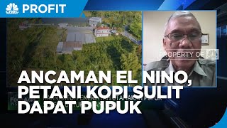 El Nino Mengancam, Petani Kopi Juga Sulit Dapat Pupuk & KUR