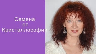 Новое равновесие