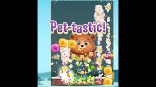 Pet Rescue Puzzle Saga Level 272