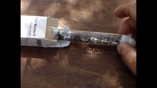 Colonia messor ¡EXPRES!, en 3 semanas, muy fácil. Mirmecologia. Messor capitatus. Canal El yeti