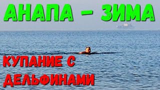 #АНАПА - 8.30 УТРА - ДЕЛЬФИНЫ КУПАЮТСЯ С АШОТОМ 15.01.2020